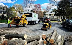 Best Hazardous Tree Removal  in Portage, PA