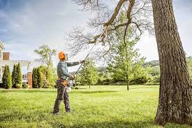Best Hedge Trimming  in Portage, PA