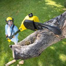 Best Firewood Processing and Delivery  in Portage, PA