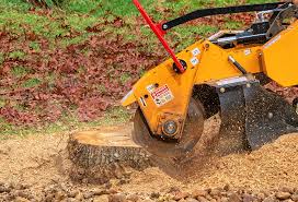 Best Tree Trimming and Pruning  in Portage, PA